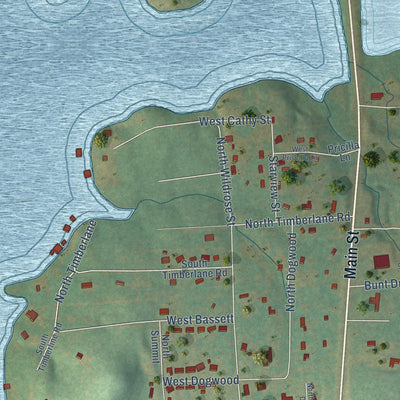 Second close-up of the map of Lone Star, Texas print showing more streets and buildings