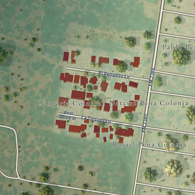Close-up of the map of Longoria, Texas print showing street and building detail