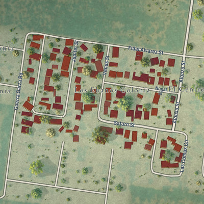 Close-up of the map of Los Ebanos, Starr County, Texas print showing street and building detail