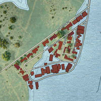 Close-up of the map of Los Lobos, Texas print showing street and building detail