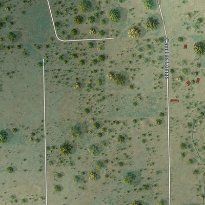 Close-up of the map of Los Veteranos I, Texas print showing street and building detail