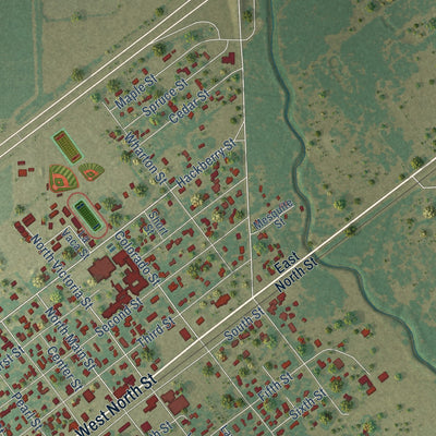 Close-up of the map of Louise, Texas print showing street and building detail