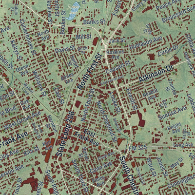 Close-up of the map of Lufkin, Texas print showing street and building detail