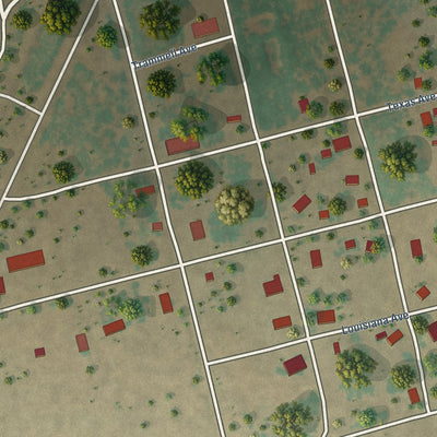 Close-up of the map of McCaulley, Texas print showing street and building detail