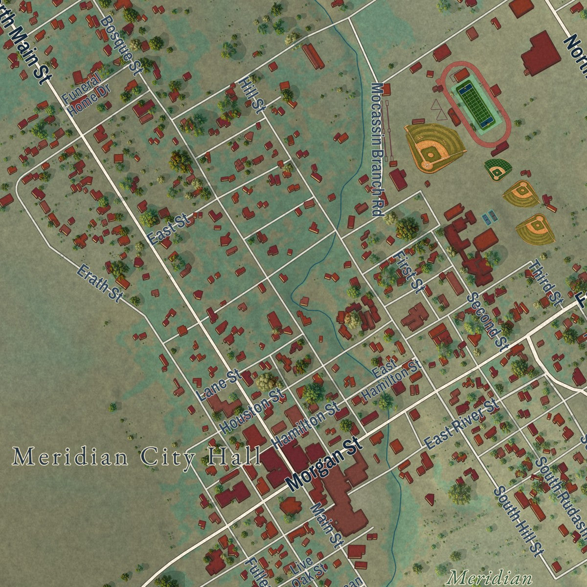 Close-up of the map of Meridian, Texas print showing street and building detail
