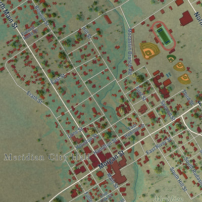 Close-up of the map of Meridian, Texas print showing street and building detail