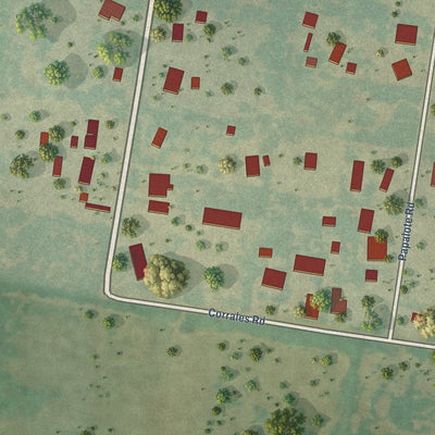 Close-up of the map of Mi Ranchito Estate, Texas print showing street and building detail