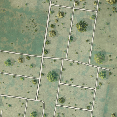 Close-up of the map of Miguel Barrera, Texas print showing street and building detail