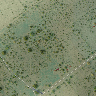Close-up of the map of Morales-Sanchez, Texas print showing street and building detail