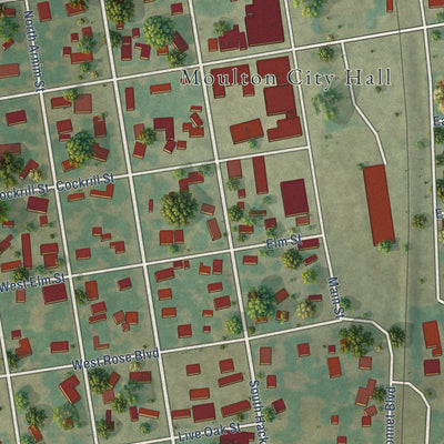 Close-up of the map of Moulton, Texas print showing street and building detail