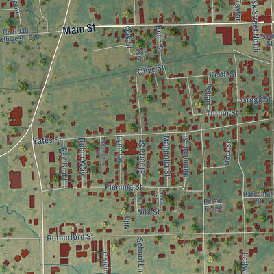 Close-up of the map of Mount Vernon, Texas print showing street and building detail