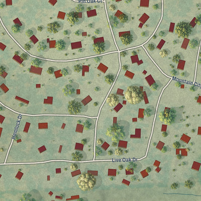 Close-up of the map of Mountain City, Texas print showing street and building detail