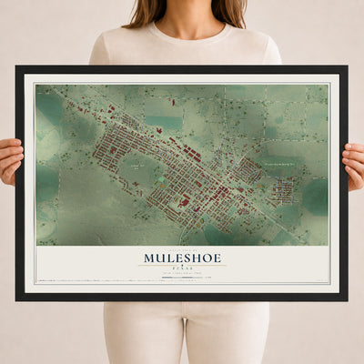 Map of Muleshoe, Texas, 18 x 24 inch print in a black wood frame