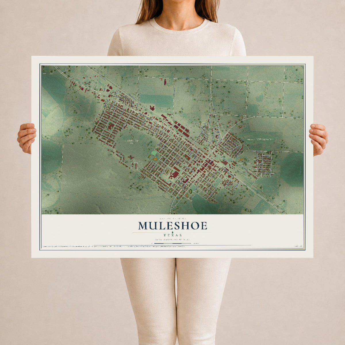 Map of Muleshoe, Texas, 24 x 36 inch unframed archival matte print
