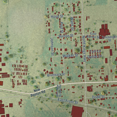 Close-up of the map of Nash, Texas print showing street and building detail