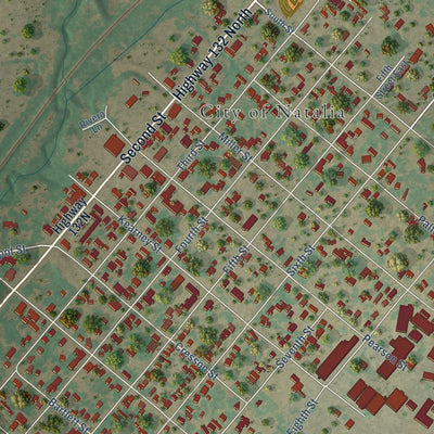 Close-up of the map of Natalia, Texas print showing street and building detail