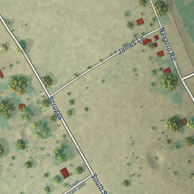 Second close-up of the map of Navarro, Texas print showing more streets and buildings