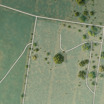 Close-up of the map of Netos, Texas print showing street and building detail