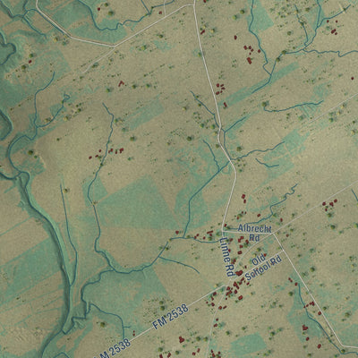 Close-up of the map of New Berlin, Texas print showing street and building detail
