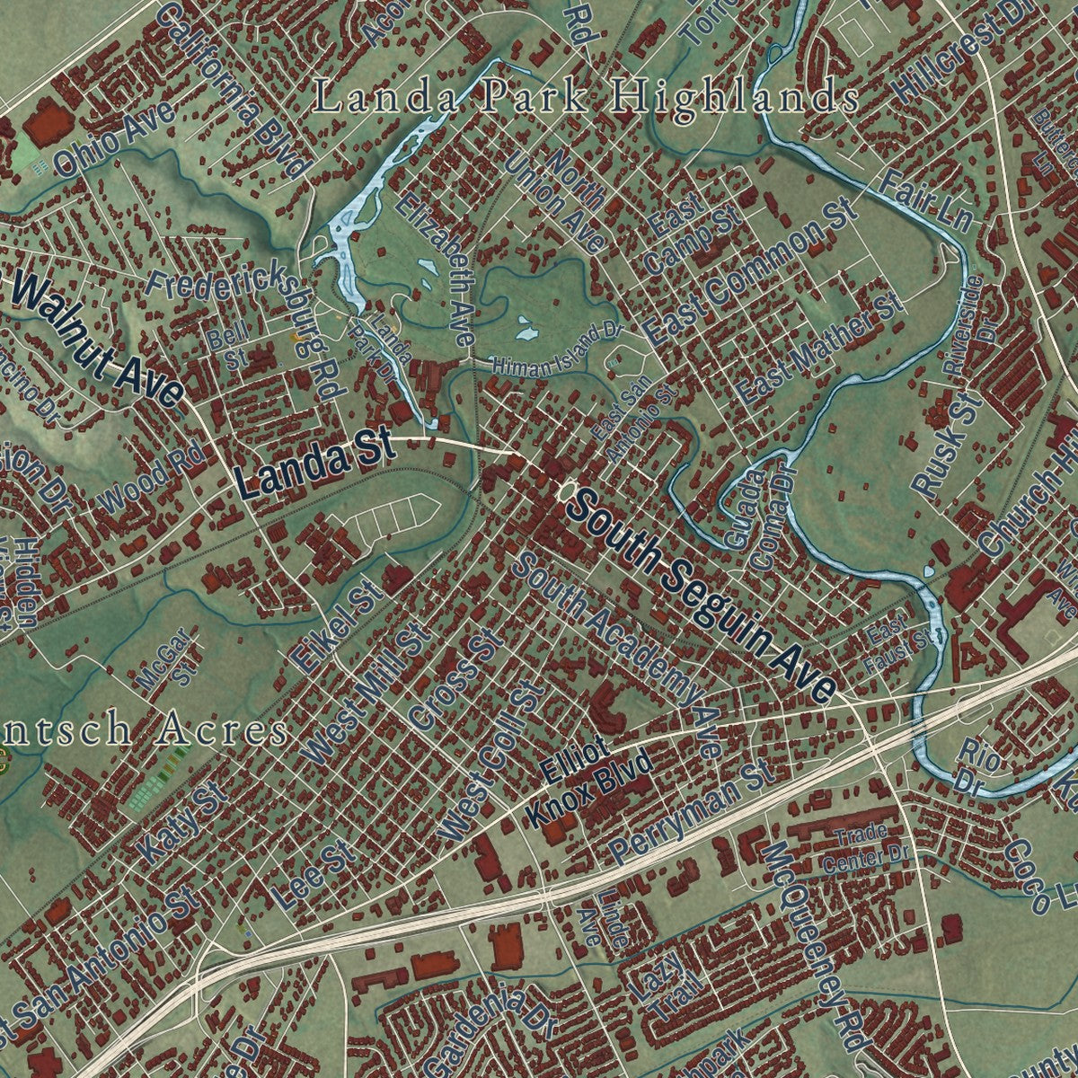 Close-up of the map of New Braunfels, Texas print showing street and building detail