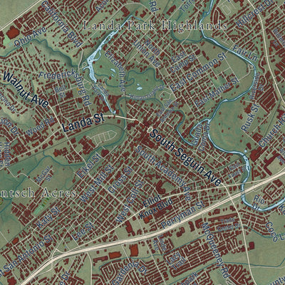 Close-up of the map of New Braunfels, Texas print showing street and building detail