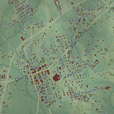 Close-up of the map of Newton, Texas print showing street and building detail