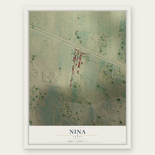 Nina, Texas map print, the full design