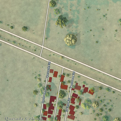 Close-up of the map of Nina, Texas print showing street and building detail