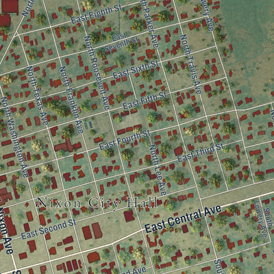 Close-up of the map of Nixon, Texas print showing street and building detail