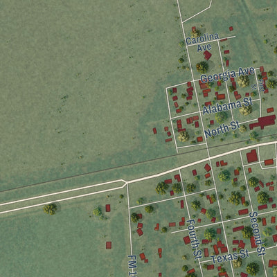 Second close-up of the map of Nome, Texas print showing more streets and buildings