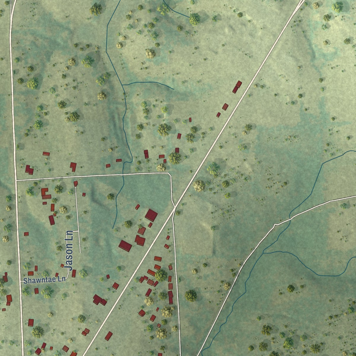 Close-up of the map of Noonday, Texas print showing street and building detail