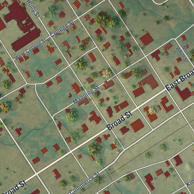 Close-up of the map of Oakwood, Texas print showing street and building detail