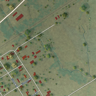 Second close-up of the map of Oakwood, Texas print showing more streets and buildings
