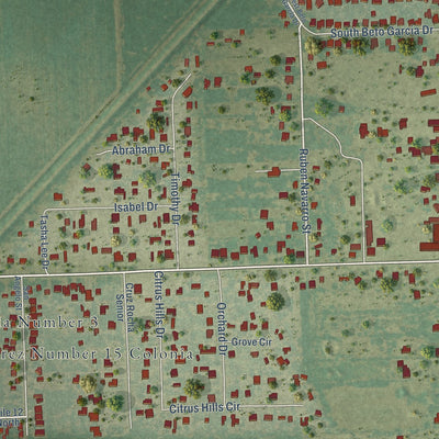 Close-up of the map of Olivarez, Texas print showing street and building detail