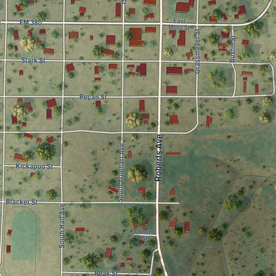 Close-up of the map of Paint Rock, Texas print showing street and building detail