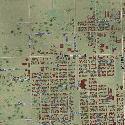 Close-up of the map of Palacios, Texas print showing street and building detail