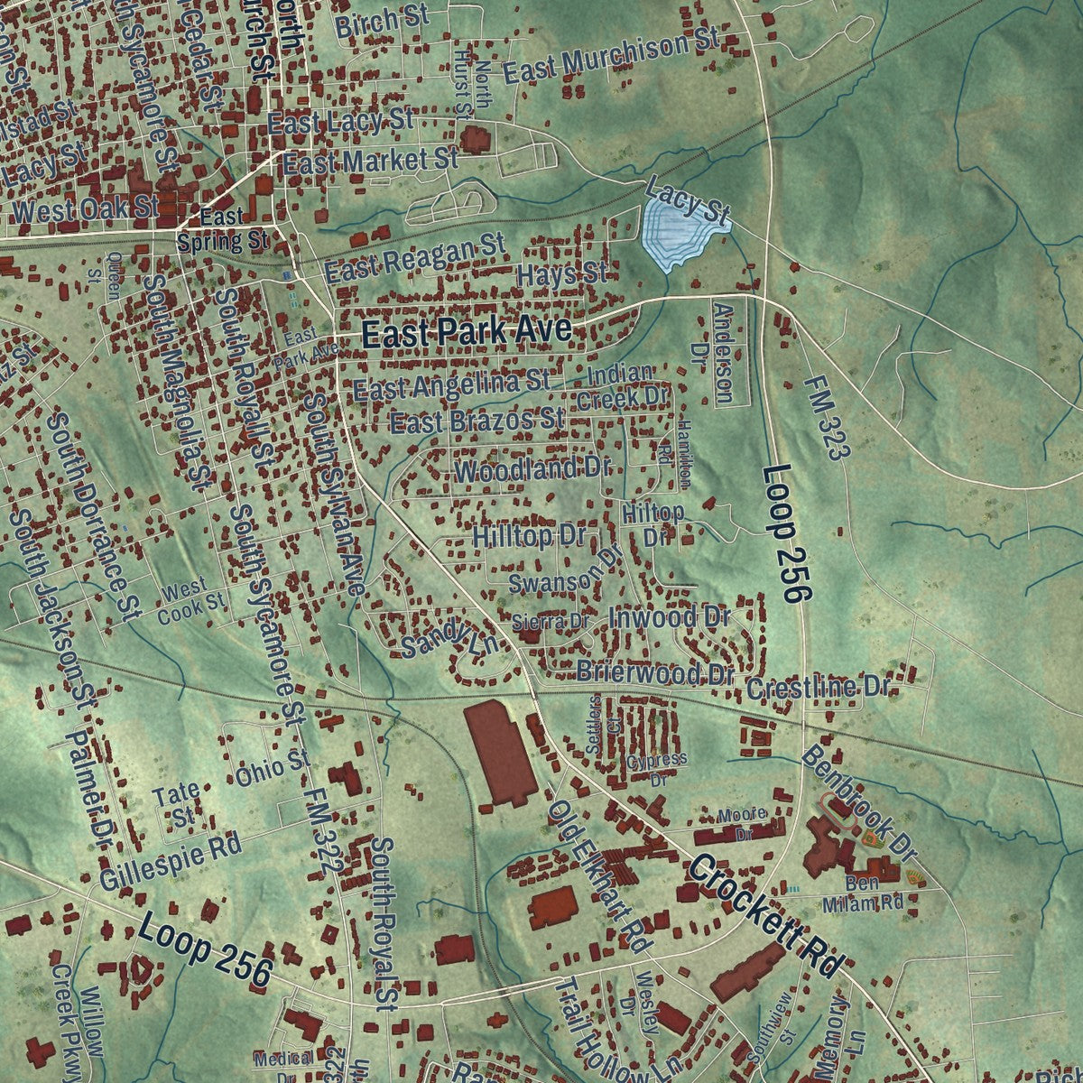 Close-up of the map of Palestine, Texas print showing street and building detail