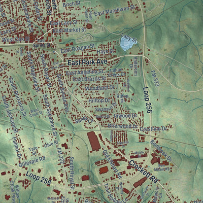 Close-up of the map of Palestine, Texas print showing street and building detail