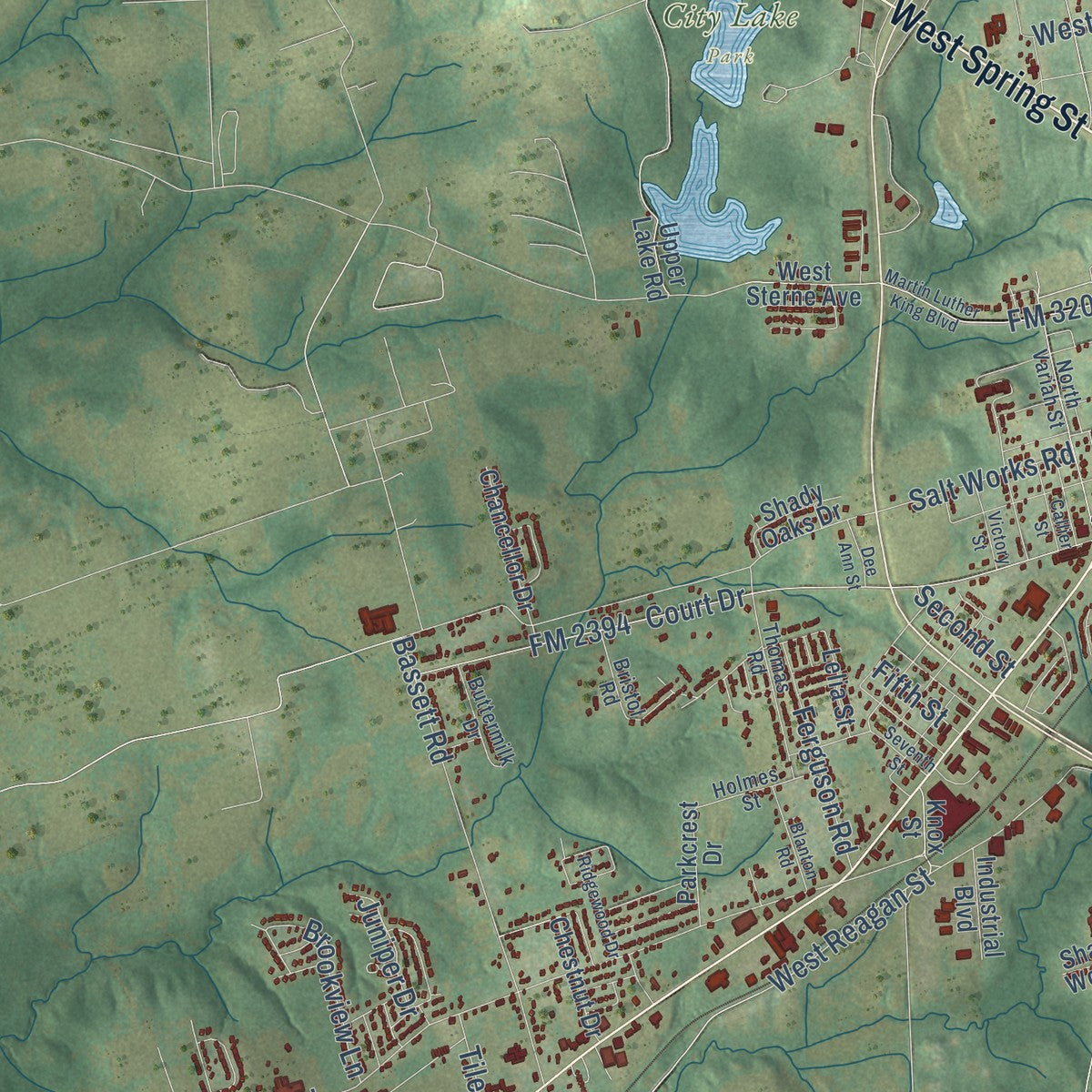 Second close-up of the map of Palestine, Texas print showing more streets and buildings