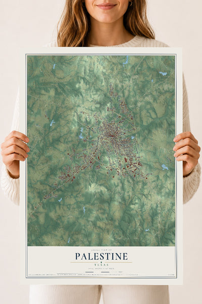 Map of Palestine, Texas, 18 x 24 inch unframed archival matte print