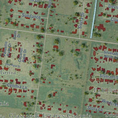 Close-up of the map of Palmhurst, Texas print showing street and building detail