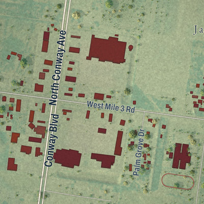 Second close-up of the map of Palmhurst, Texas print showing more streets and buildings