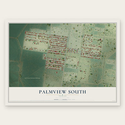 Palmview South, Texas map print, the full design