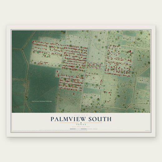 Palmview South, Texas map print, the full design