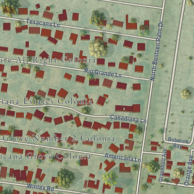 Close-up of the map of Palmview South, Texas print showing street and building detail