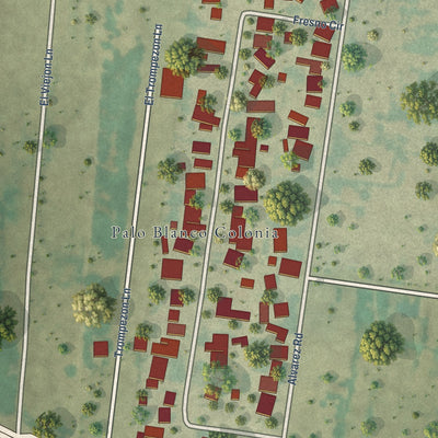 Close-up of the map of Palo Blanco, Texas print showing street and building detail