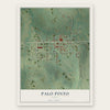 Palo Pinto, Texas map print, the full design