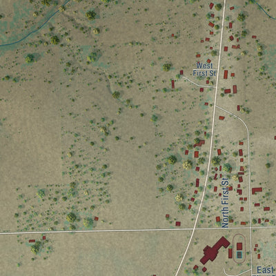 Close-up of the map of Pawnee, Texas print showing street and building detail