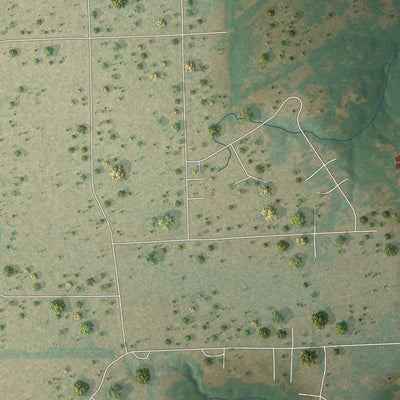 Close-up of the map of Pecan Hill, Texas print showing street and building detail