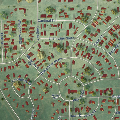 Close-up of the map of Pelican Bay, Texas print showing street and building detail